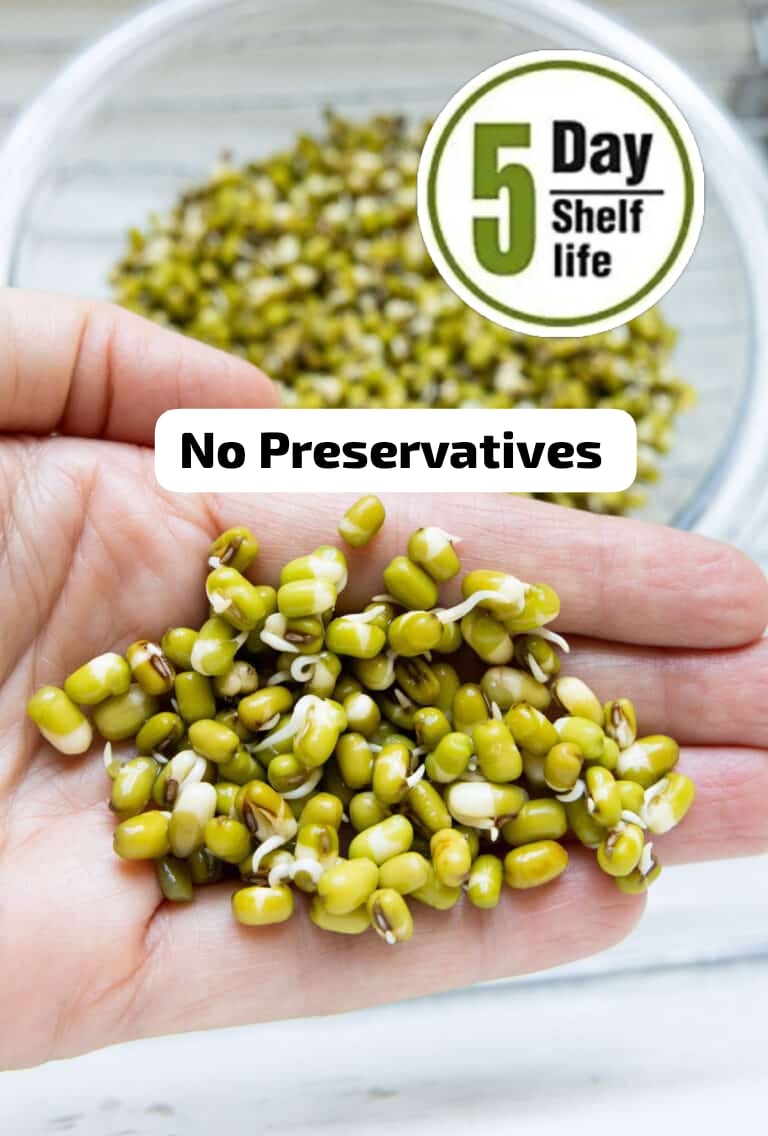 MOONG DAL SPROUT